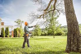 Seasonal Cleanup (Spring/Fall) in Harrison, NY
