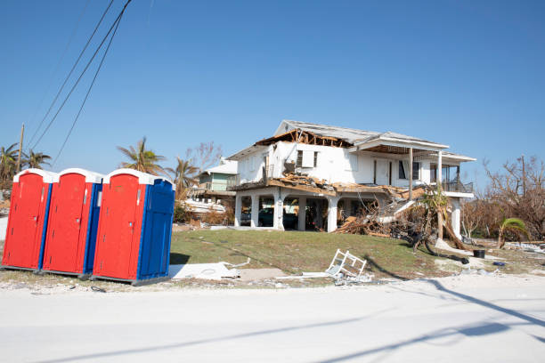 Best Storm Damage Tree Cleanup  in Harrison, NY
